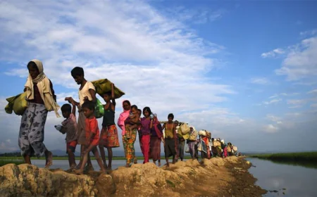 Disaster Management Secretary says Rohingyas must be repatriated with dignity