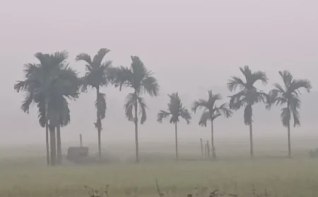 Cold Wave Grips Northern District of Panchagarh