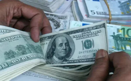 Remittance inflows rise 24.5 percent through November 2022