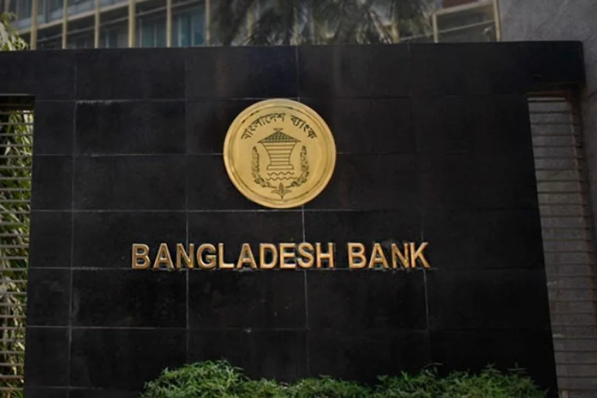 Shareholders of Five Troubled Banks to Receive Compensation: BB