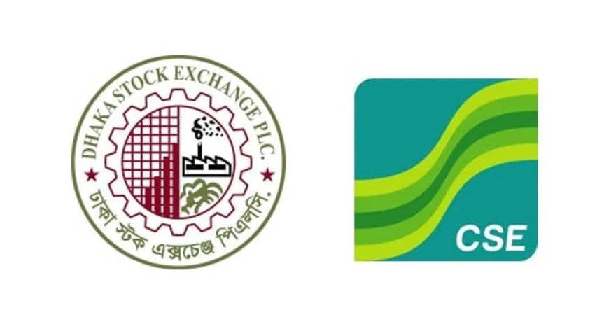 Price Fall in Large-Cap Stocks Drags Market Down