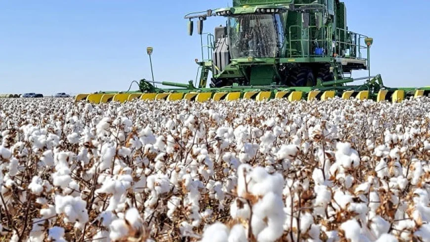 BGMEA, US cotton exporters seek closer ties in textile and apparel trade