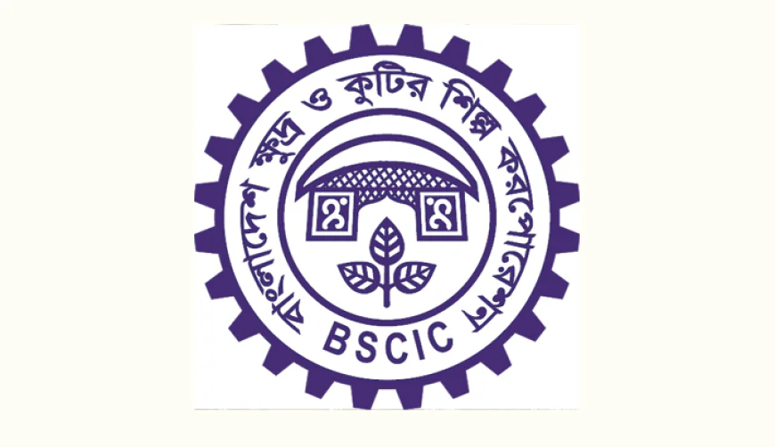 Women Entrepreneurs Thrive in Barishal’s Digital Growth