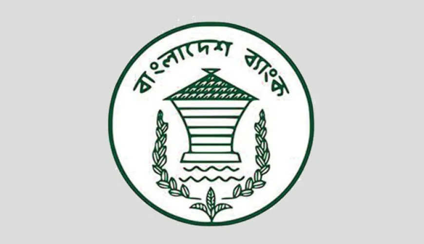 BB Issues Guideline for Climate Risk Management in Financial Sector