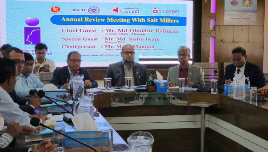 Govt Won’t Allow Salt Imports: Industries Secretary