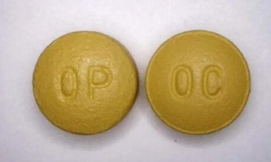 Purdue Pharma to Be Dissolved as US Judge Approves Bankruptcy