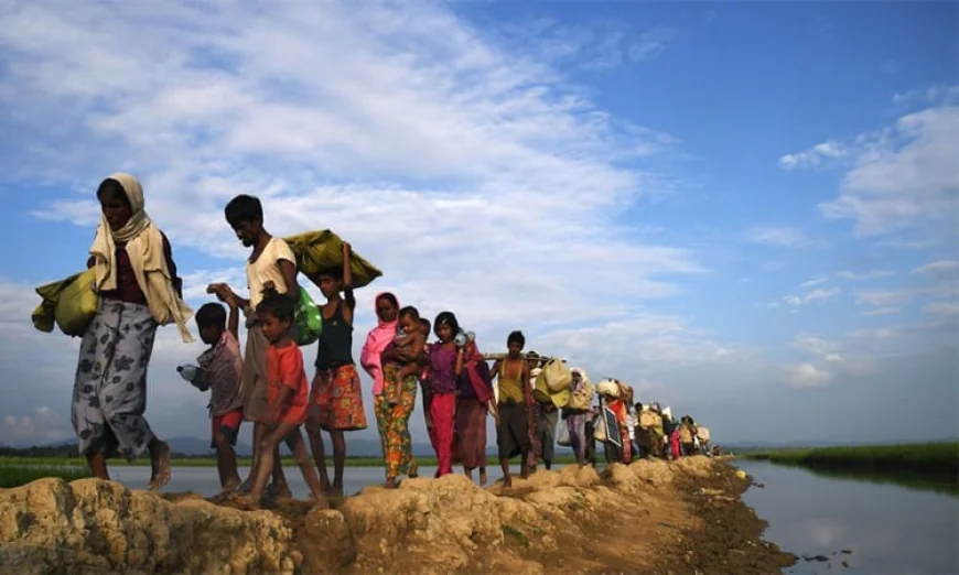 Disaster Management Secretary says Rohingyas must be repatriated with dignity