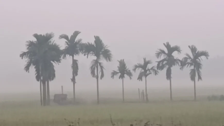 Cold Wave Grips Northern District of Panchagarh