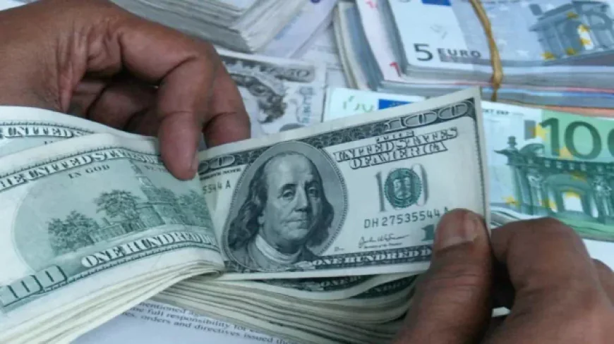 Remittance inflows rise 24.5 percent through November 2022