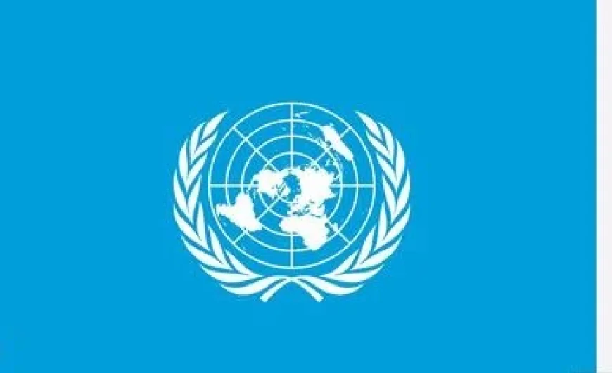 UN Calls for Impartial Investigation of Israeli Strikes in Lebanon