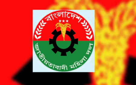 BNP Mohila Dal Convenes Biennial Conference in Patuakhali