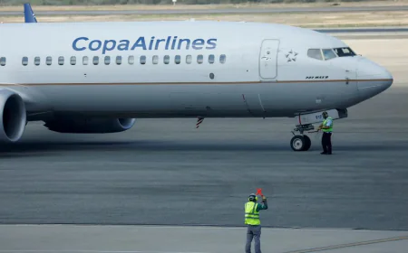 Panama carrier halts Venezuela flights for 48 hours