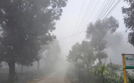 Kurigram shivers as temperature plunges to season’s lowest 11.4°C