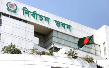 Postal Voting System Sees Enrollment of Over 3 Lakh Expatriates