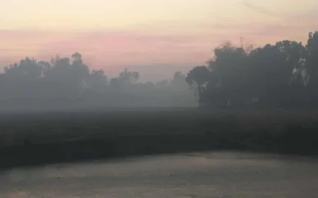 Panchagarh Records 8.9°C Amid Intensifying Cold Wave