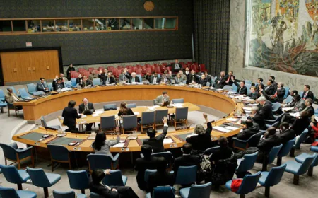 UN Security Council Approves One-Year Extension of DR Congo Mission