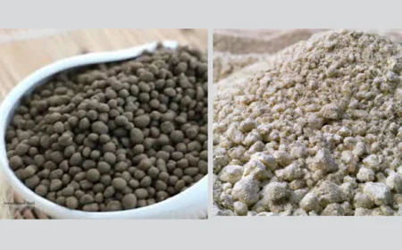 Govt to Procure 1.30 Lakh Metric Tons of Fertiliser