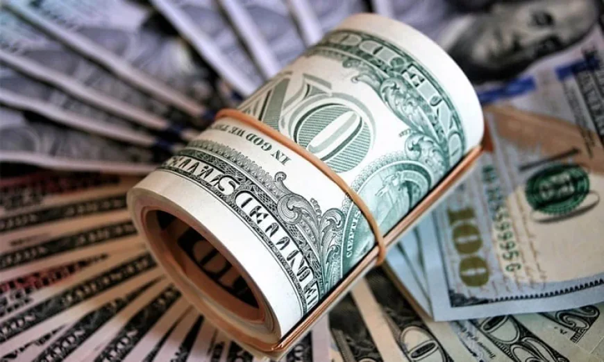 Remittance inflows grow 16.8% through December 1 of FY26