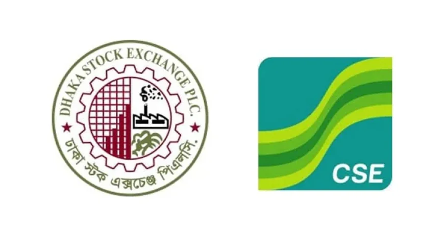 DSE stocks stage a rebound