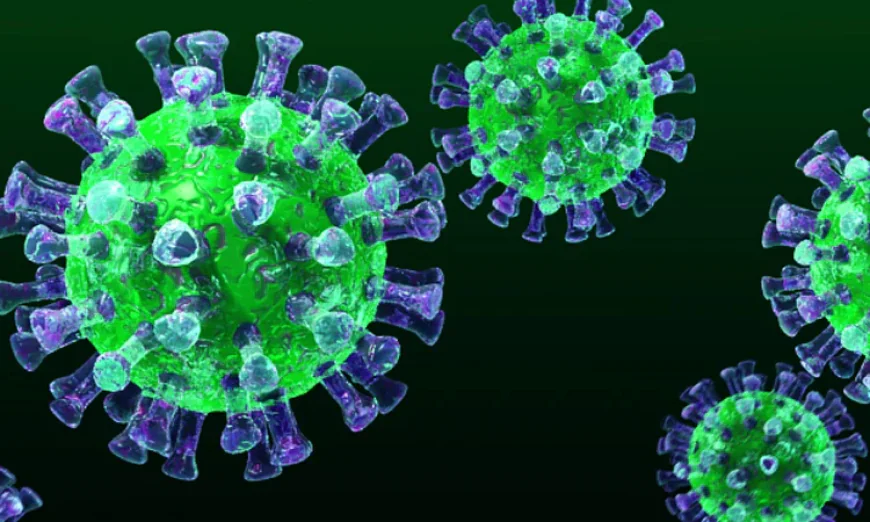 Two MERS cases detected in French tour group