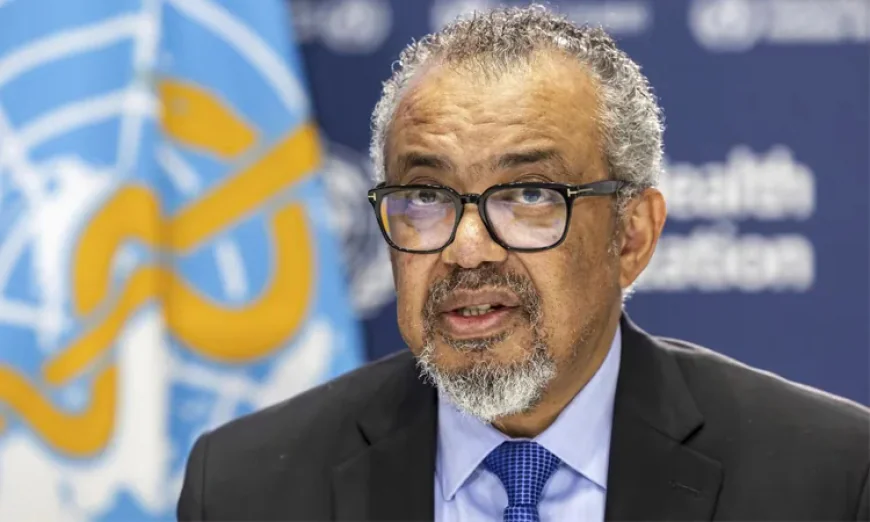 WHO Chief Optimistic About Resolving Final Hurdle in Pandemic Treaty