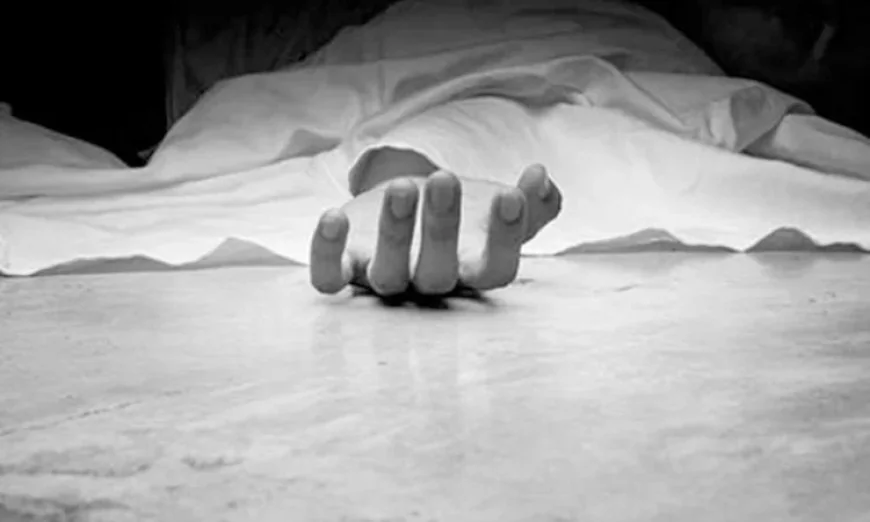 Motorcyclist Killed in Tangail After Truck Collision