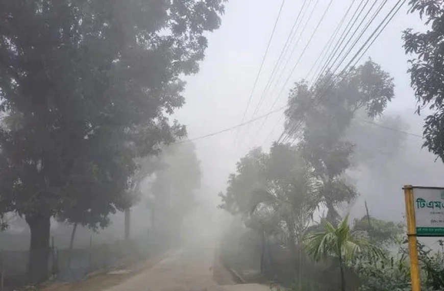 Kurigram shivers as temperature plunges to season’s lowest 11.4°C