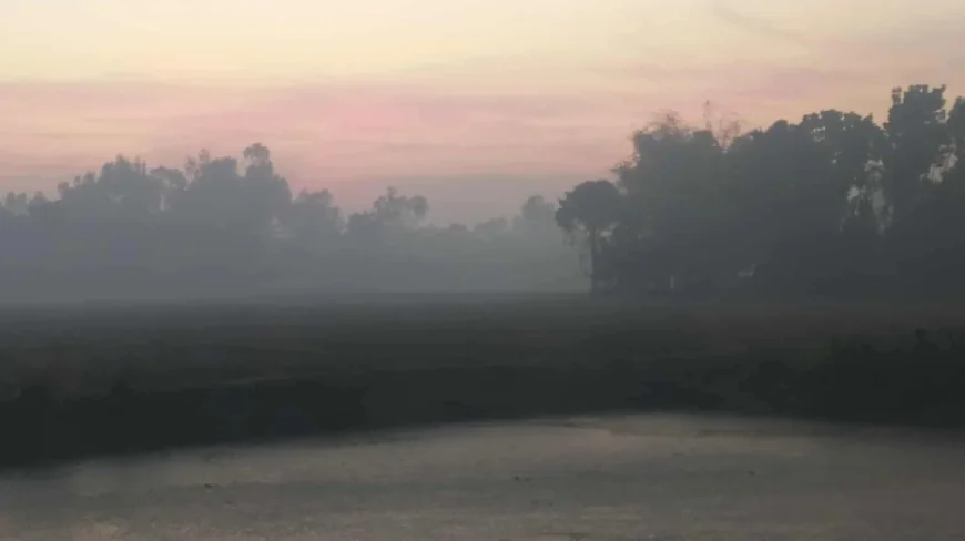 Panchagarh Records 8.9°C Amid Intensifying Cold Wave