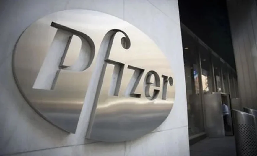 Weak 2026 Outlook Hits Pfizer Shares
