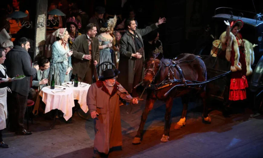 Pets, Pedis and Peppermints: When the Diva Happens to Be a Donkey