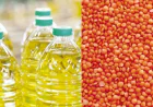 Government to Procure Edible Oil and Lentils to Stabilize Market