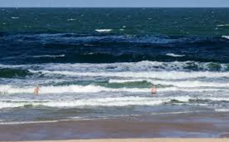 German Maritime Agency Reports 2025 as Warmest Year on Record in North Sea