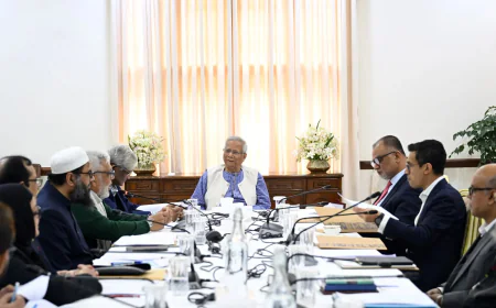 CA Calls for Establishing Independent Institution for Power and Energy Research