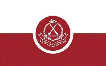 BGB Seizes Firearms at Kushtia Border