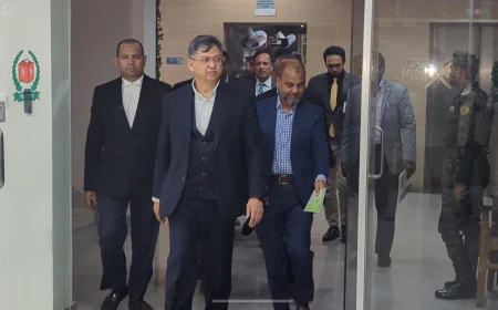 BNP Delegation Holds Meeting with CEC