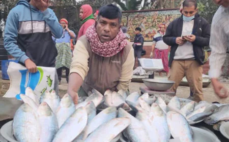 Shariatpur celebrates tradition with Pair Hilsa Fair