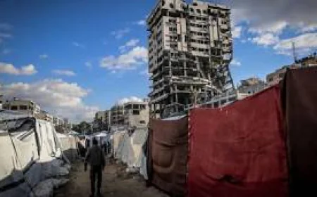 Trump Invites Global Figures to Join Gaza Governance Boards