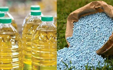 Govt to Review Proposals for Soybean Oil and Fertilizer Procurement