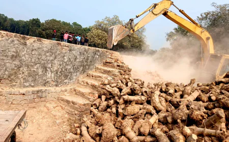 Four Illegal Brick Kilns Demolished in Jhenaidah, Fined Tk 20 Lakh
