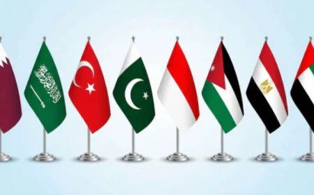 Saudi Arabia, Qatar and Seven Others Accept Trump’s ‘Board of Peace’ Invite