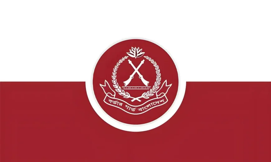 BGB Seizes Firearms at Kushtia Border