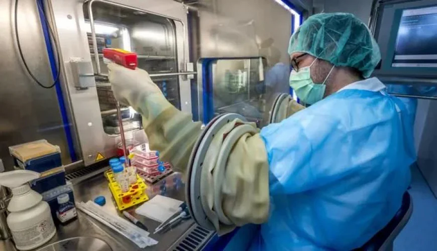 Experts Develop New Skin for Swiss Fire Victims