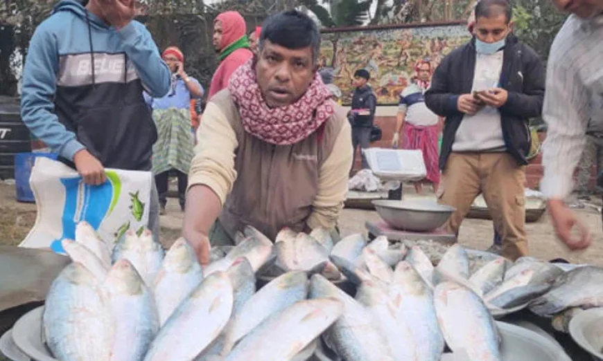 Shariatpur celebrates tradition with Pair Hilsa Fair
