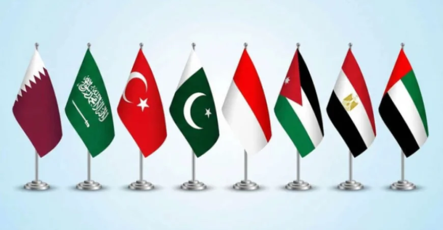 Saudi Arabia, Qatar and Seven Others Accept Trump’s ‘Board of Peace’ Invite