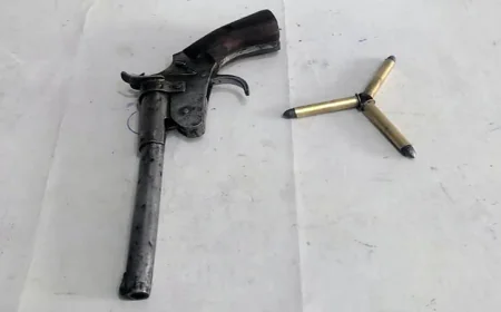 Firearms and Ammunition Seized in Dinajpur