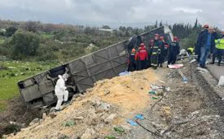 Bus Crash in Turkey Kills 8, Injures 26: Governor