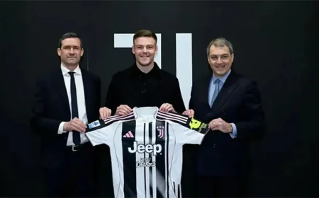 Juventus Complete Loan Move for Swedish Defender Holm