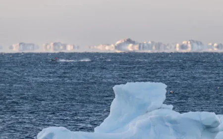 AI to track icebergs adrift at sea in boon for science