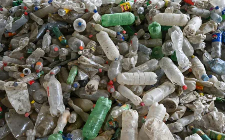 Chile's climate summit chief to lead plastic pollution treaty talks