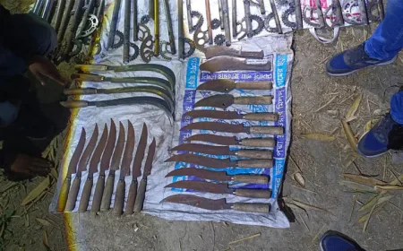 RAB seizes huge cache of lethal weapons in Rajshahi